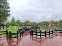 #大溪河濱公園-桃園市大溪區