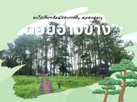 ดอยอ่างขาง 🌳 ธรรมชาติสวยๆ ณ ปลายฝนต้นหนาว