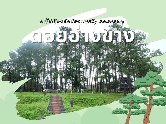 ดอยอ่างขาง 🌳 ธรรมชาติสวยๆ ณ ปลายฝนต้นหนาว