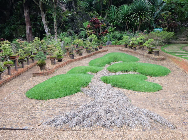 ดอยอ่างขาง 🌳 ธรรมชาติสวยๆ ณ ปลายฝนต้นหนาว