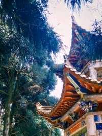 Ping Tian Mountain: A High-Altitude Meadow of Stunning Beauty