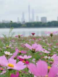 Haizhu Lake Park– Guangzhou’s Urban Wetland Oasis