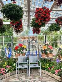 Springtime Stroll at the Crystal Palace Greenhouse