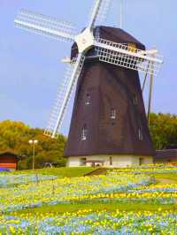 Tsurumi Ryokuchi Park – Osaka’s Hidden Garden Wonderland