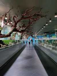 Underwater Adventures Await at Manila Ocean Park