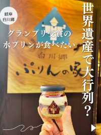 【世界遺産🌍白川郷】プリンアワード🍮グランプリ受賞の水プリン❣️
