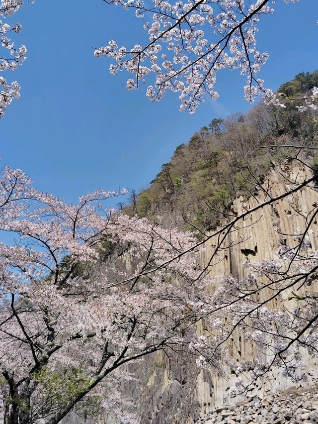 【材木岩公園】国の天然記念物「材木岩」の造形美