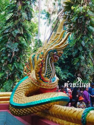 🌺 คำชะโนด