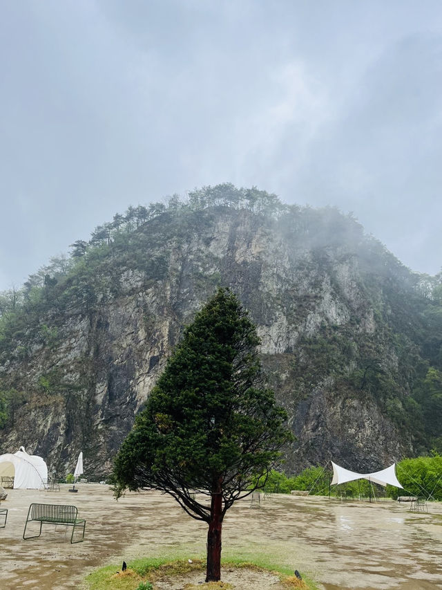 在地人才知道 原州這間山中咖啡廳美到放空連韓國人都驚嘆！
