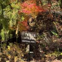 Nikko เมืองที่มองวิวก็ชื่นใจ🍁