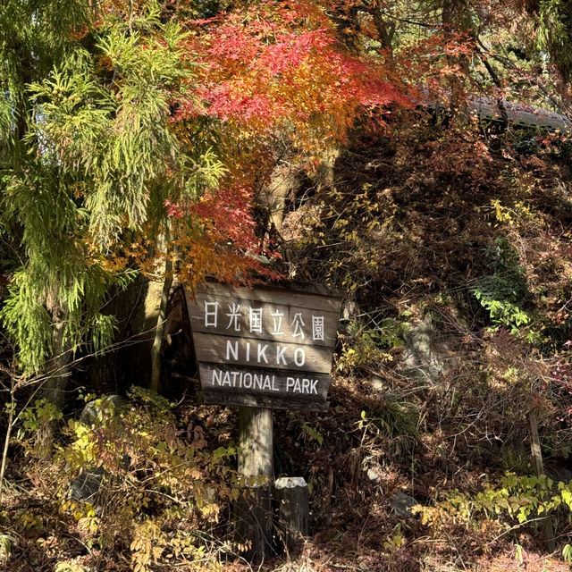 Nikko เมืองที่มองวิวก็ชื่นใจ🍁
