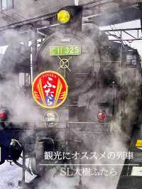 【下今市駅】一度は乗車してほしいSL大樹ふたら✨