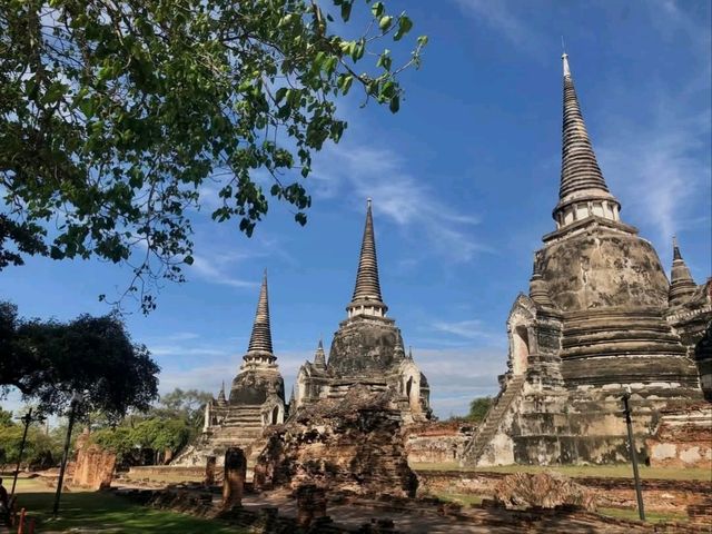 ย้อนอดีตสู่กรุงศรีฯ ที่วัดพระศรีสรรเพชญ์