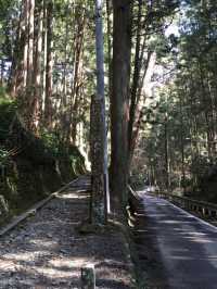🇯🇵【愛媛】国宝（本殿）！！！大寶寺(^^)