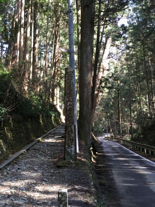 🇯🇵【愛媛】国宝（本殿）！！！大寶寺(^^)