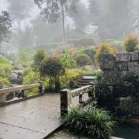 World’s First Japanese Tea House in a Tropical Forest!