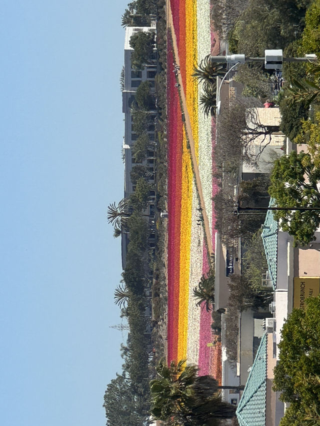🏖️ Carlsbad, 샌디에고의 럭셔리 휴양지!