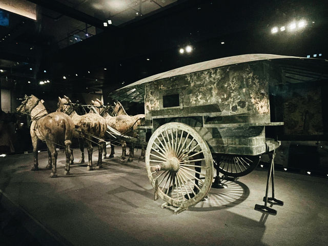 Terra-Cotta Warriors 西安兵馬俑🗿