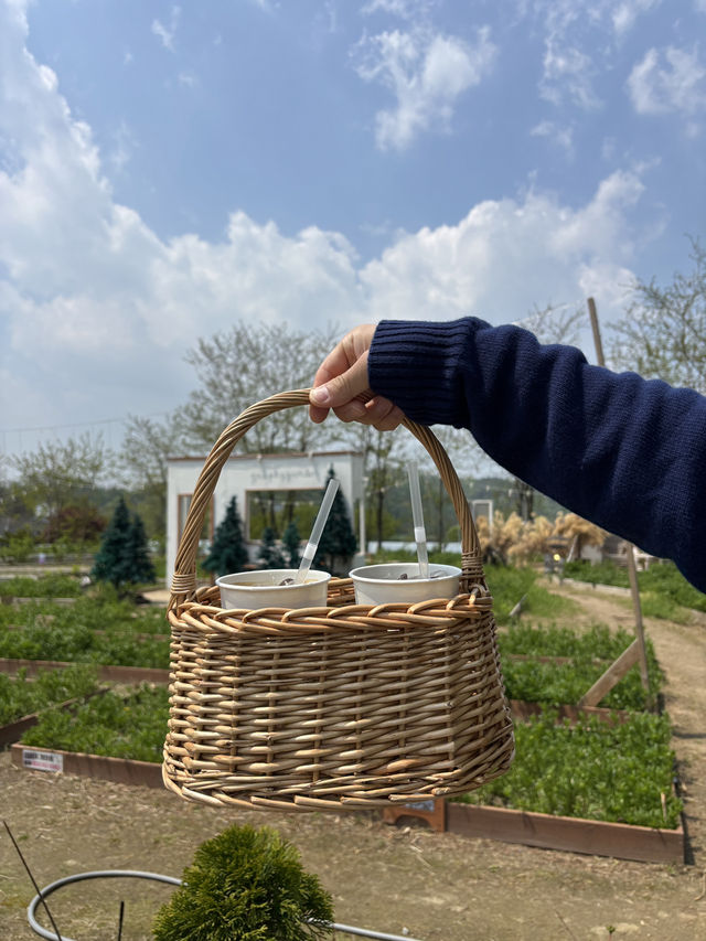 크리스마스와 이색적인 정원이 있는 대형카페🌳🤍