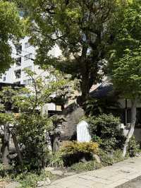 ศาลเจ้านัมบะ ยาซากะ (Namba Yasaka Shrine)