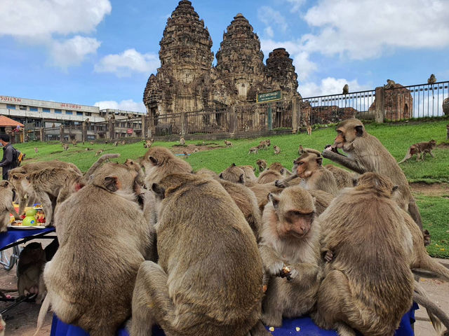 🏛️🌿 LAVO KINGDOM WEEKEND ESCAPE: Where Ancient Ruins Meet Lush Rice Fields! 