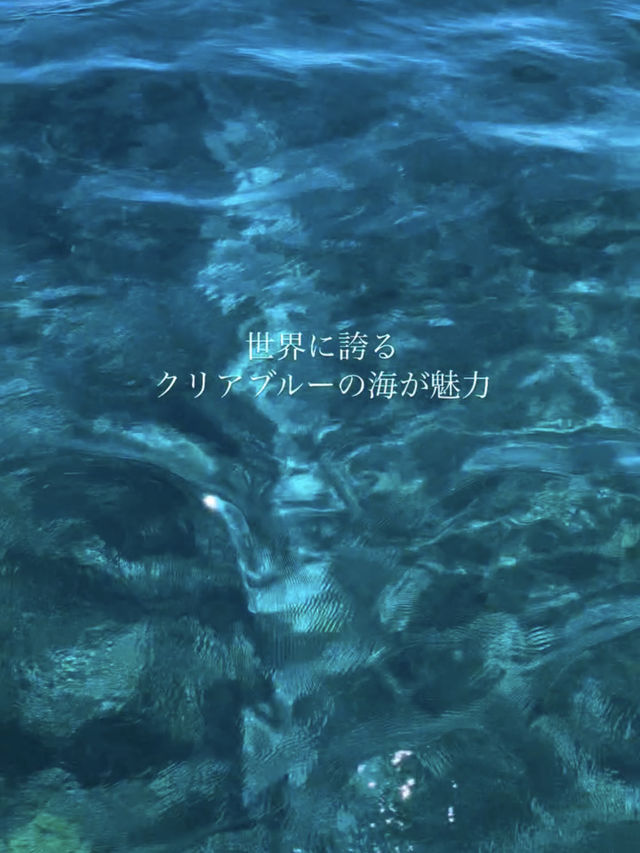 船でしか見れない❗️混雑皆無の沖縄絶景