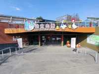 #鵝媽媽『鵝童樂園』