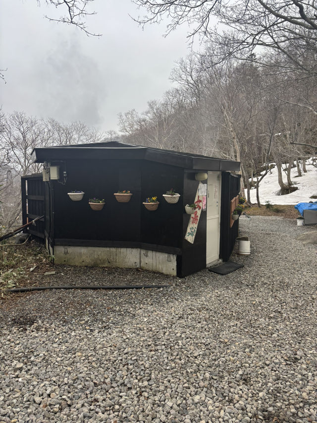 【知床秘湯】原生林に抱かれた「熊の湯」で極上の湯浴みを