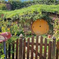 Spring in New Zealand – Nature Awakens in Style