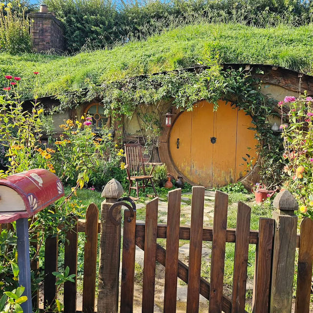 Spring in New Zealand – Nature Awakens in Style