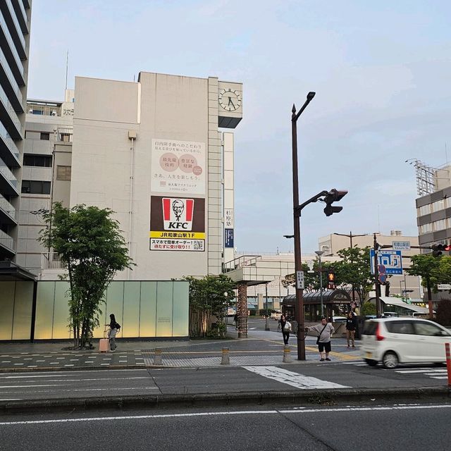 🪷春夏之鄉 - 和歌山市3日遊