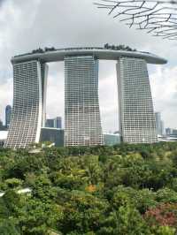 #濱海灣花園Gardens By The Bay-新加坡