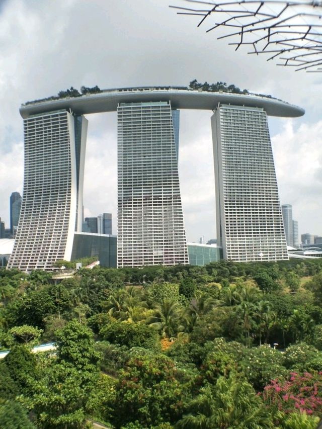 #濱海灣花園Gardens By The Bay-新加坡