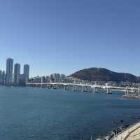 🇰🇷釜山 ｜需要安靜參觀的海邊景點🤫白淺灘