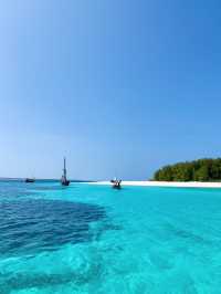 Zanzibar’s Hidden Gem: Sunset, Dolphins & Snorkeling Near Mnemba Island