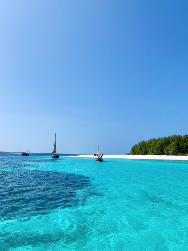 Zanzibar’s Hidden Gem: Sunset, Dolphins & Snorkeling Near Mnemba Island