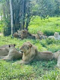 富國島野生動物園