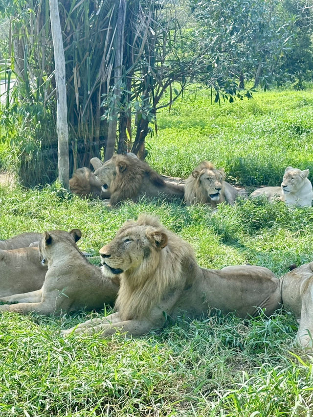 富國島野生動物園