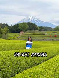ไร่ชา Obuchi Sasaba 🍃