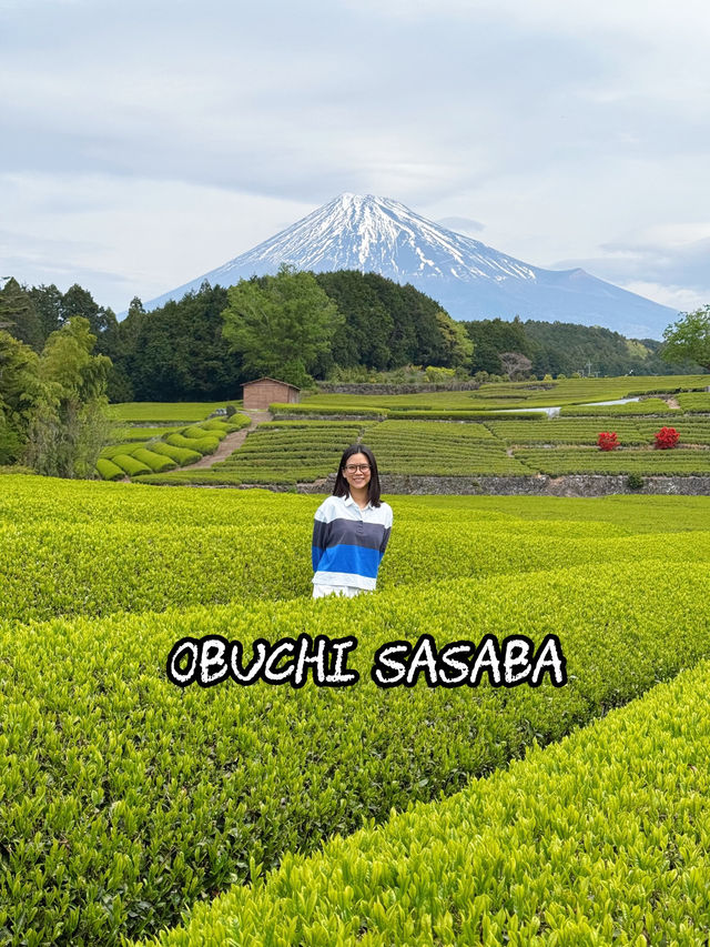 ไร่ชา Obuchi Sasaba 🍃