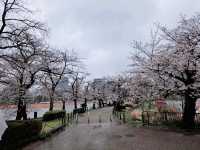 Vibrant Seasons and Culture at Ueno Park