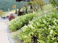 A Trip to Janggye Tourist Site in Okcheon, Near Daejeon
