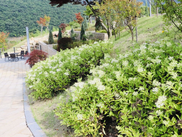A Trip to Janggye Tourist Site in Okcheon, Near Daejeon