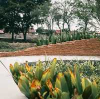 NAYA Cafe Ayutthaya นาย่าคาเฟ่ อยุธยา