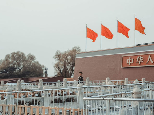เดินเล่นทั่ว BEIJING ในฤดูใบไม้ผลิ 🌿🌸