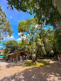 Poomjai Garden (สวนภูมิใจ)🪴