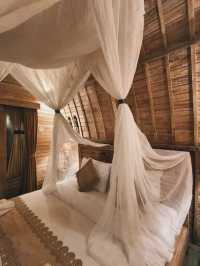 🇮🇩Wana Shanti Villa🏨Bali Ubud Hotel Stay