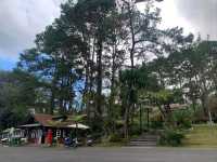 อุทยานแห่งชาติภูหินร่องกล้า