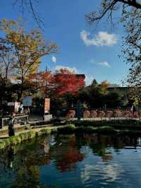 Discover the Charm of Oshino Hakkai in Spring