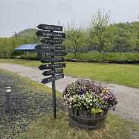 Hidden Gem during Golden Week! Shaun the Sheep Farm & English Garden